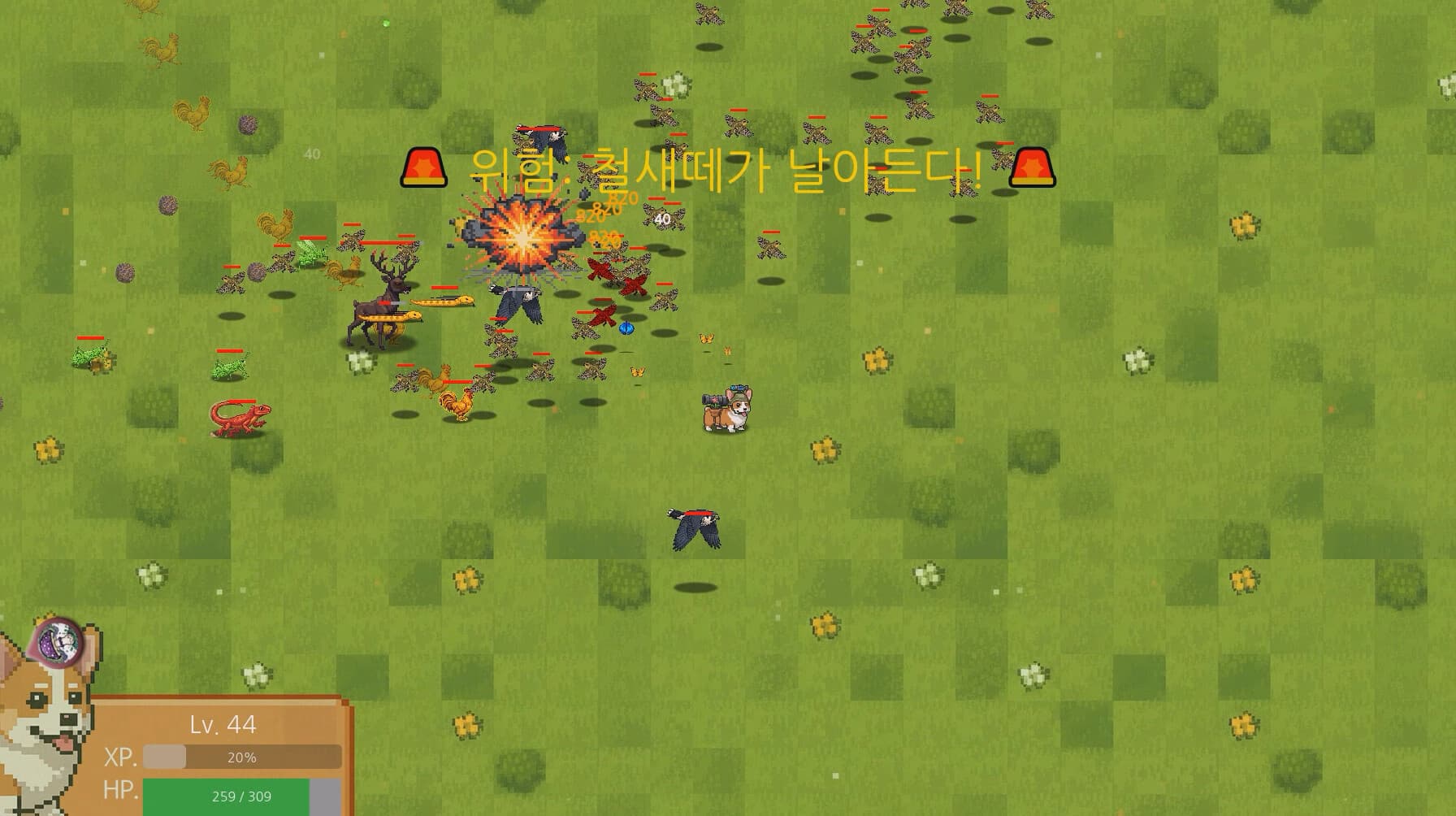 코기 서바이버 screenshot 3