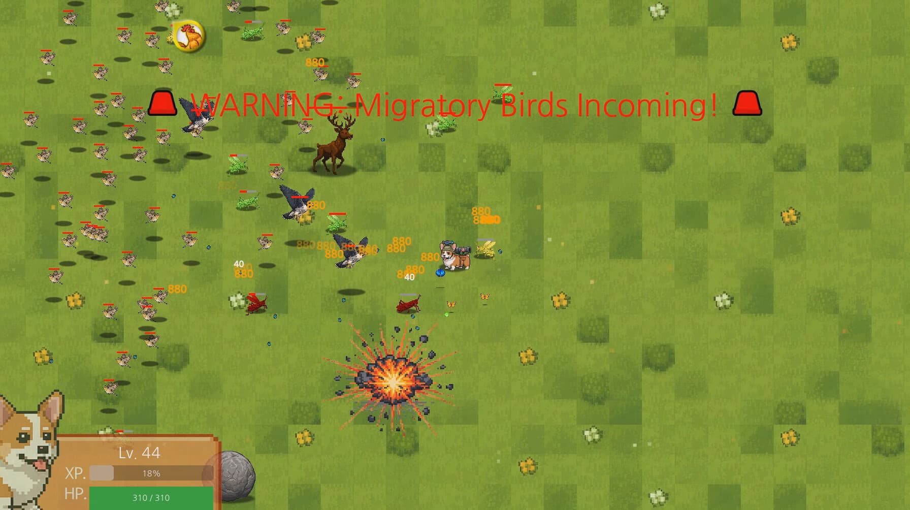 Corgi Survivor screenshot 1