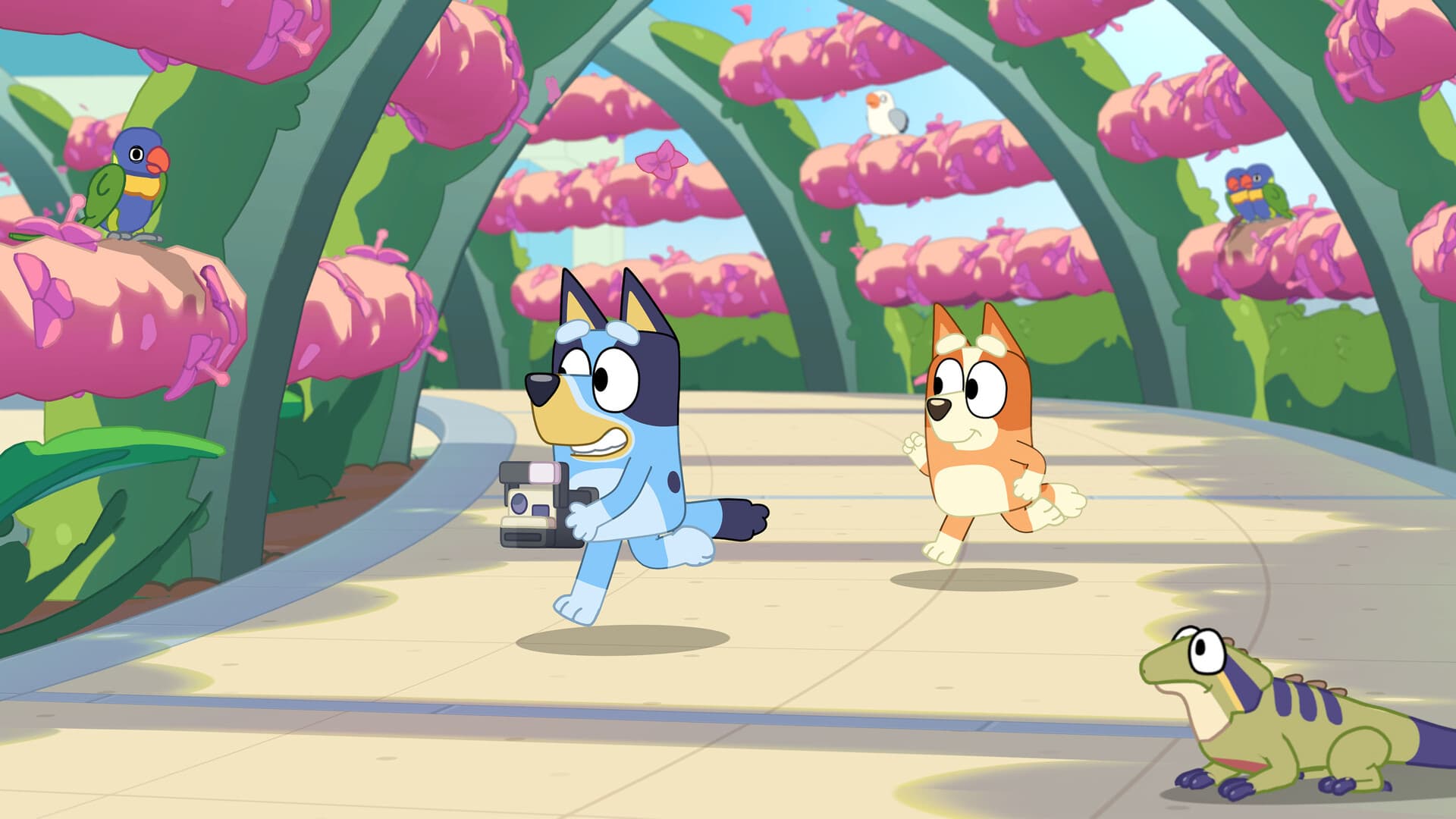 Bluey's Happy Snaps screenshot 4